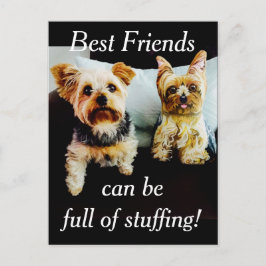 詰め物最高のの多い友人がヨークシャーテリア ポストカード