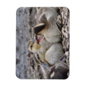 話し好きなマガモの子ガモ マグネット (縦)