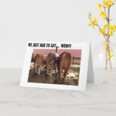 話し牛が群素晴らし誕生日カード カード (黄色い花)