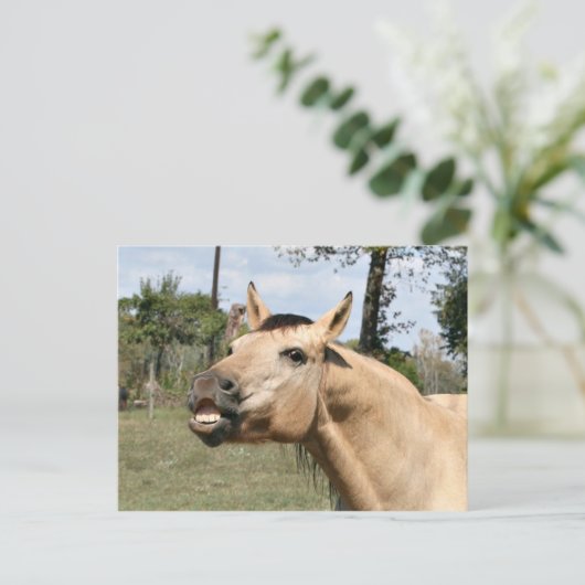 話し馬 ポストカード (スタンド正面)