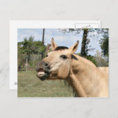話し馬 ポストカード (正面/裏面)