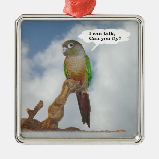 話せるよ飛べるか? メタルオーナメント (正面)