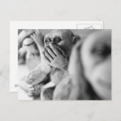 話悪葉書なし ポストカード (正面/裏面)