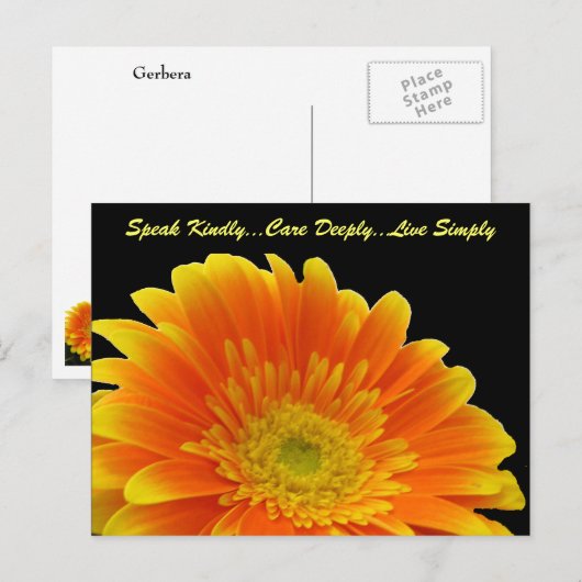 話Kindly Gerberaはがき ポストカード (正面/裏面)