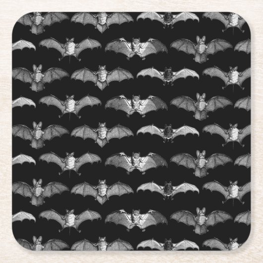 詳細こうもり種イラストパターンブラック スクエアペーパーコースター (正面)