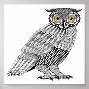 詳細なフクロウイラストレーション、ベクターラインアート ポスター