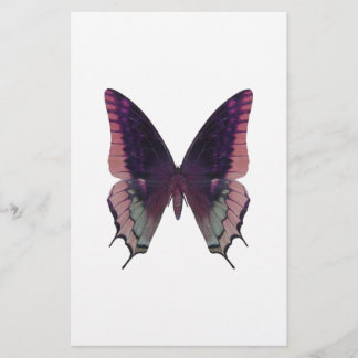 詳細な蝶ピンク