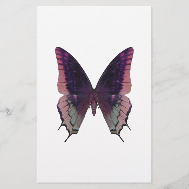 詳細な蝶ピンク (正面)