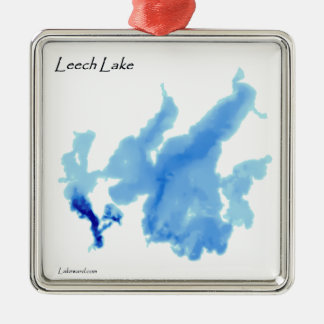 詳細なleech湖 メタルオーナメント