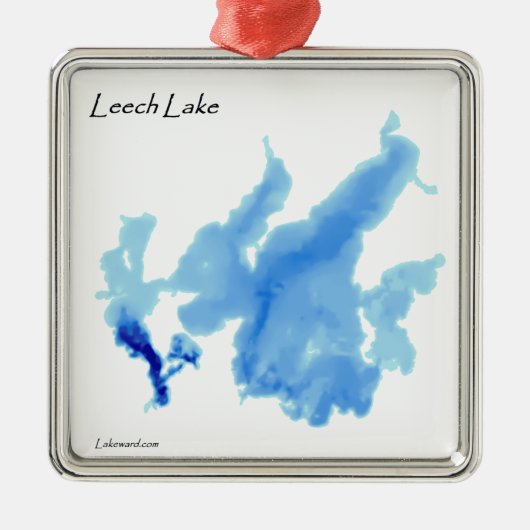 詳細なleech湖 メタルオーナメント (正面)