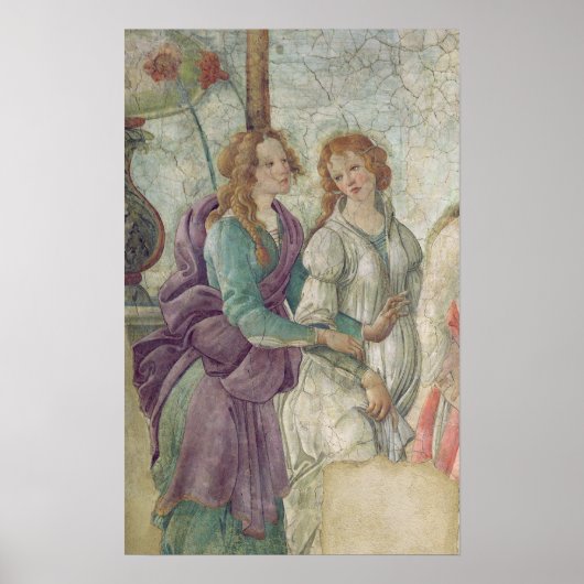 詳細のビーナスと美歯 ポスター (正面)