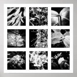詳細の自然シリーズ – 花2 ポスター