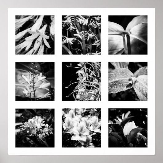 詳細の自然シリーズ – 花2 ポスター (正面)