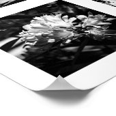 詳細の自然シリーズ – 花2 ポスター (角)