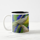 詳細紅葉花とヒヤシンス花。クレジット ツートーンマグカップ (左)