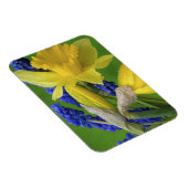 詳細紅葉花とヒヤシンス花。クレジット マグネット (右側)