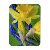 詳細紅葉花とヒヤシンス花。クレジット マグネット (縦)