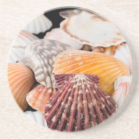 詳細·オブ·ザ·ワールド2 コースター (正面)