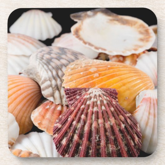 詳細·オブ·ザ·ワールド2 コースター (正面)