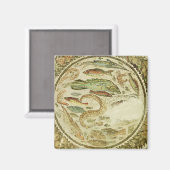 詳細・オブ・フィッシュ、四季折々の季節、Vega Baja マグネット (正面/裏面)