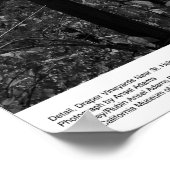 詳細、セントヘレナ近郊のドレーパーヴィンヤード， 1966 ポスター (角)