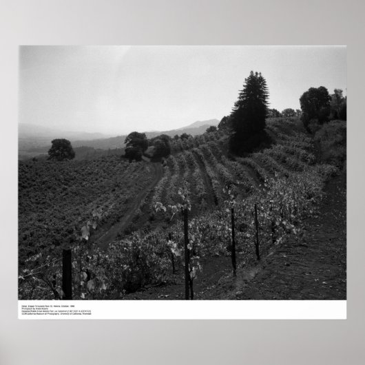 詳細、セントヘレナ近郊のドレーパーヴィンヤード， 1966 ポスター (正面)