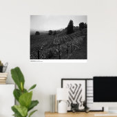 詳細、セントヘレナ近郊のドレーパーヴィンヤード， 1966 ポスター (ホームオフィス)