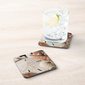 詳細，世界中の貝の殻 コースター (右側)