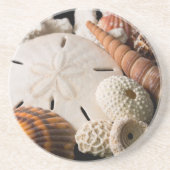 詳細，世界中の貝の殻 コースター (正面)