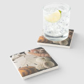 詳細，世界中の貝の殻 ストーンコースター (横)