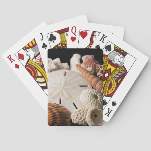 詳細，世界中の貝の殻 トランプ (裏面)