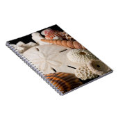 詳細，世界中の貝の殻 ノートブック (右側)