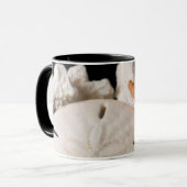 詳細,世界中の貝の殻 マグカップ (正面左)