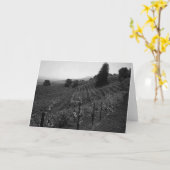 詳細、生地屋のブドウ園はセントヘレナ1966年に近づきます カード (黄色い花)