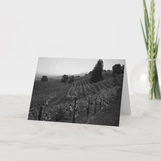 詳細、生地屋のブドウ園はセントヘレナ1966年に近づきます カード (正面)