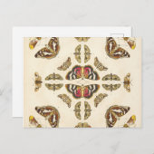 詳細VIプレート ポストカード (正面/裏面)