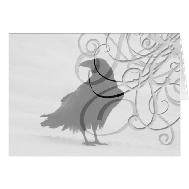 誇りを持ったなワタリガラス (正面横)