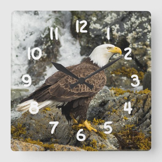誇りを持ったな白頭鷲 スクエア壁時計 (正面)