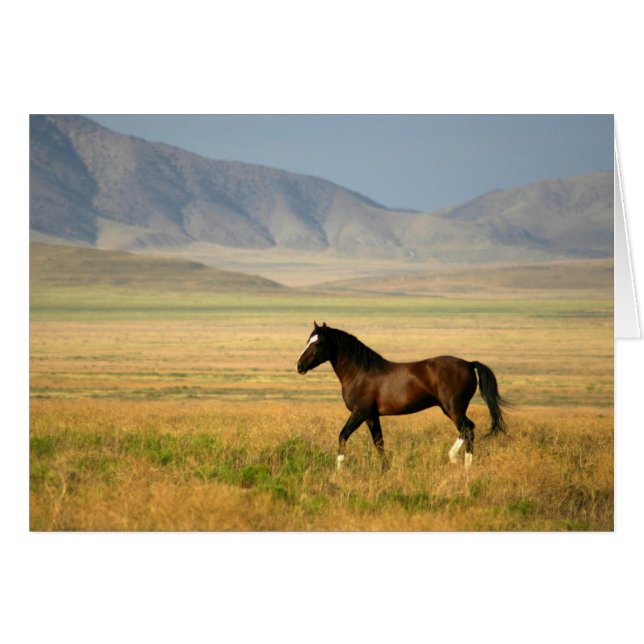 誇りを持ったな1つ (正面横)