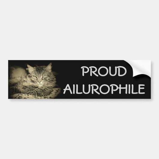 誇りを持ったなAilurophile (猫好き) バンパーステッカー (正面)