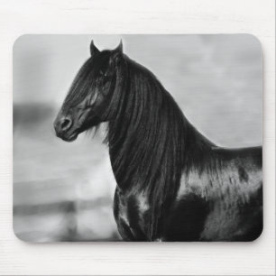 誇りを持ったなFriesianの黒の種馬の馬 マウスパッド