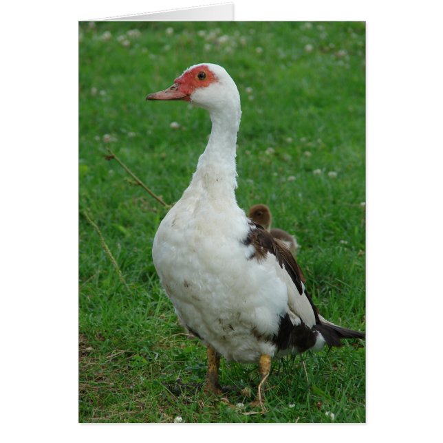 誇りを持ったママ (正面)