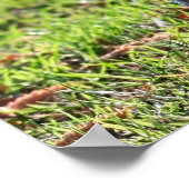 「誇りを持ったリトル・オードル」 ポスター (角)