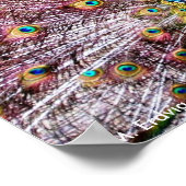 誇りを持った孔雀のポスターまたはプリント ポスター (角)