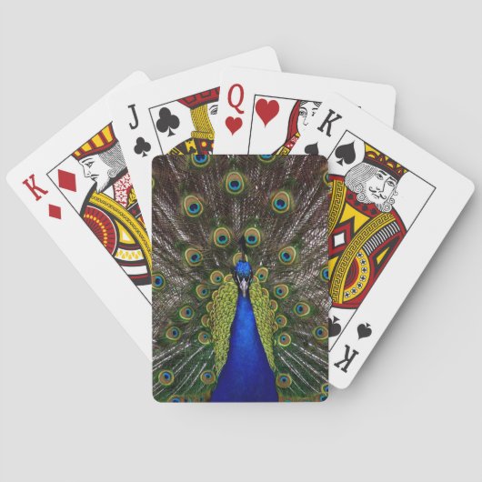 誇りを持った遊カード トランプ (裏面)