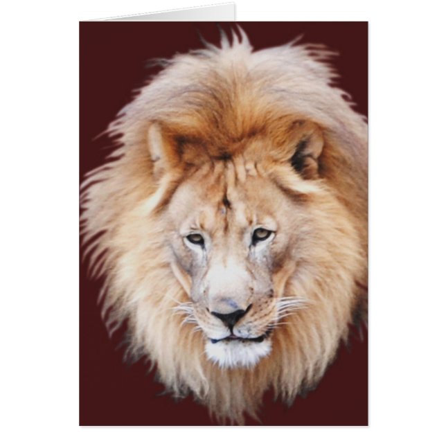 誇りを持った (正面)