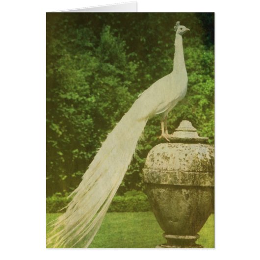 誇りを持った (正面)