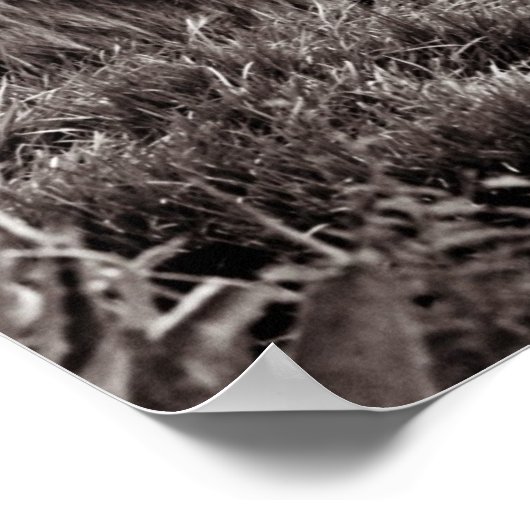 誇りを持った ポスター (角)