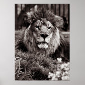 誇りを持った ポスター (正面)