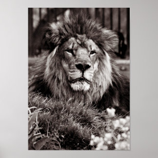 誇りを持った ポスター